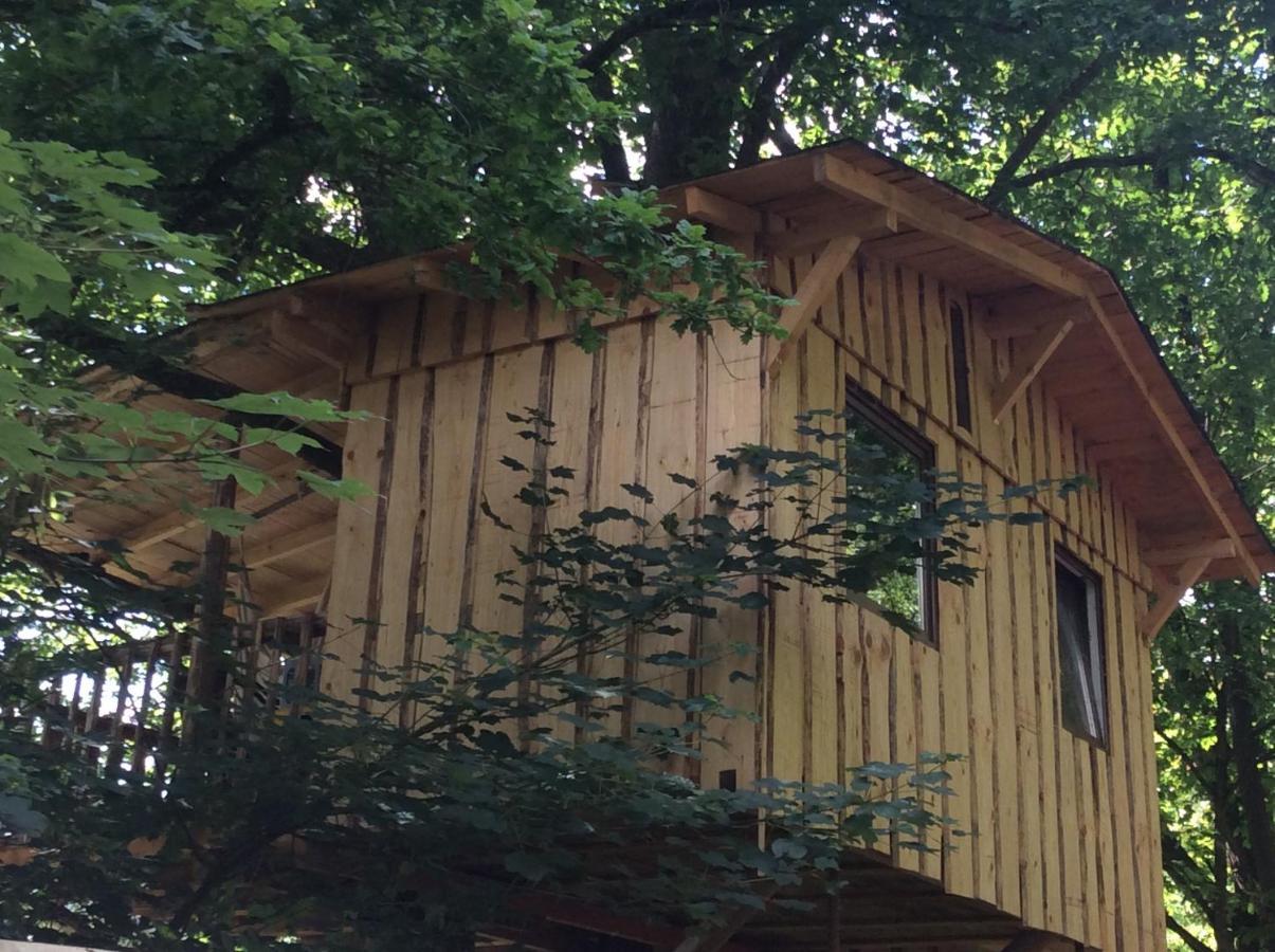 Haus Dreil